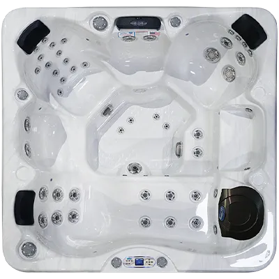 Avalon EC-849L hot tubs for sale in Jersey City