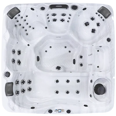 Avalon EC-867L hot tubs for sale in Jersey City